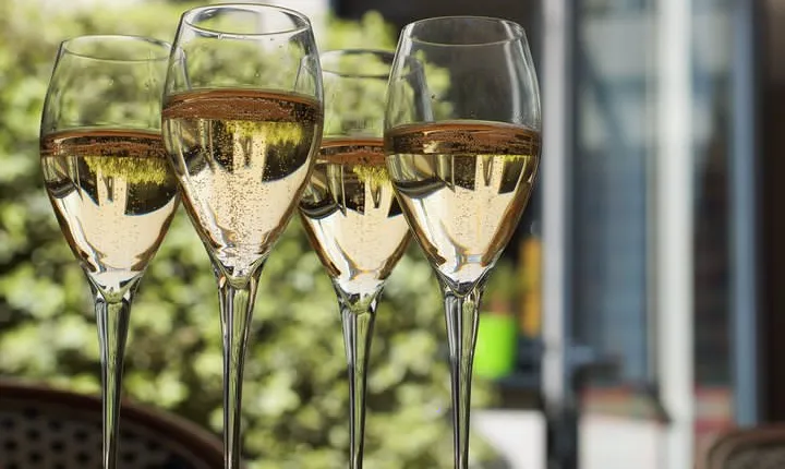 Private Guided Tour in Champagne from Paris with Moet&Chandon visit.