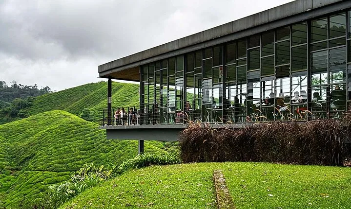 Cameron Highlands in a Day Tea Plantations, Farms & Scenic Views