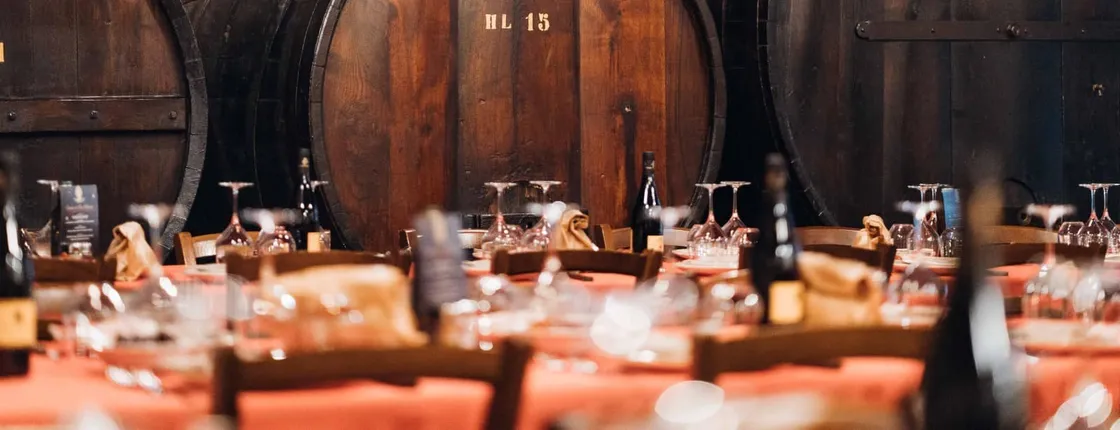 Wine experience with lunch or dinner in a farm vineyard