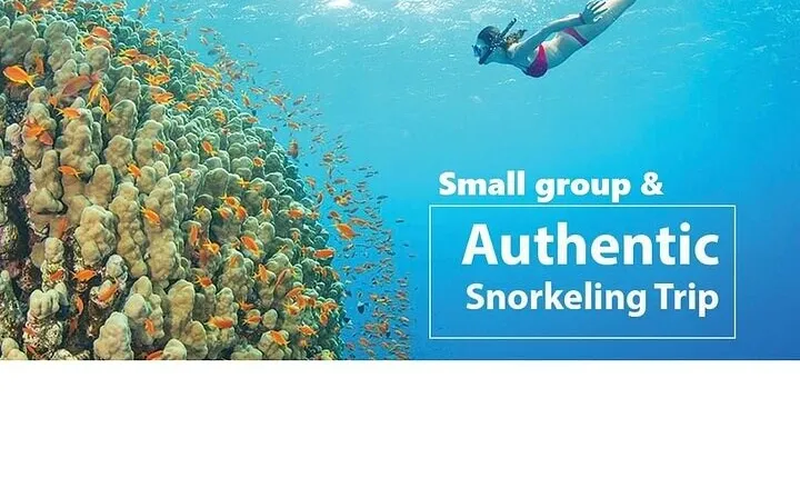 Real snorkel trip to explore Cham island by speedboat-SMALL GROUP