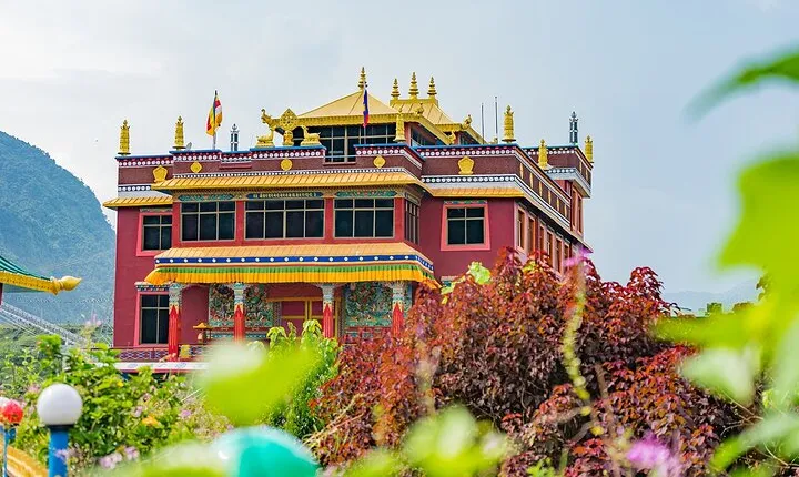 Afternoon Tibetan Cultural Tour to Tibetan Settlements Pokhara