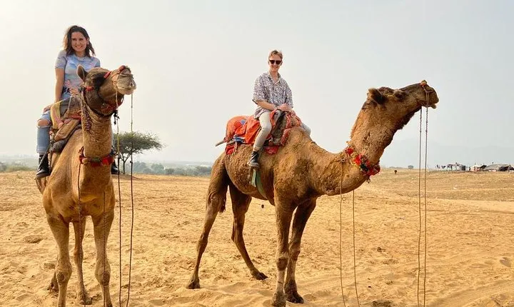 Pushkar Day trip from Jaipur with All Inclusive