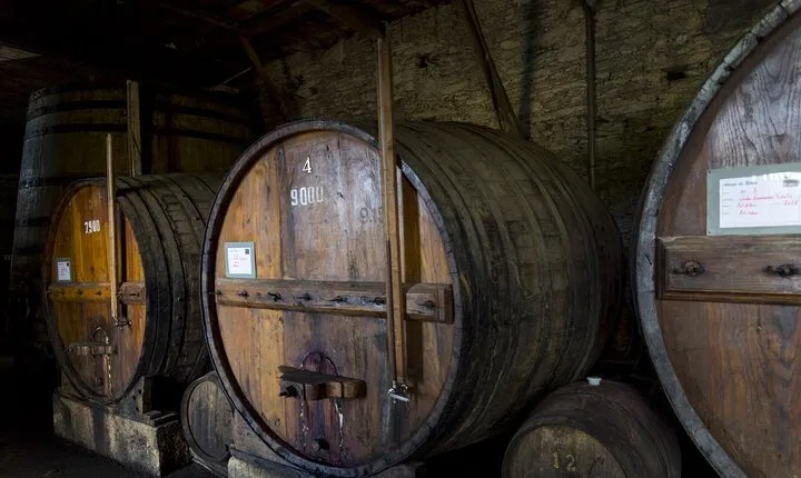 Douro Full Day Tour with Wine Tasting and Lunch