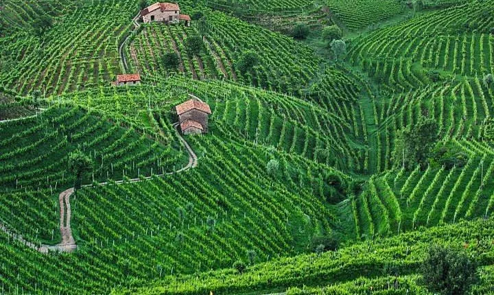 Prosecco Wine Tour. Full day from Venice