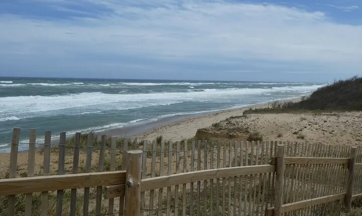 Cape Cod and Provincetown Private Driving Tour