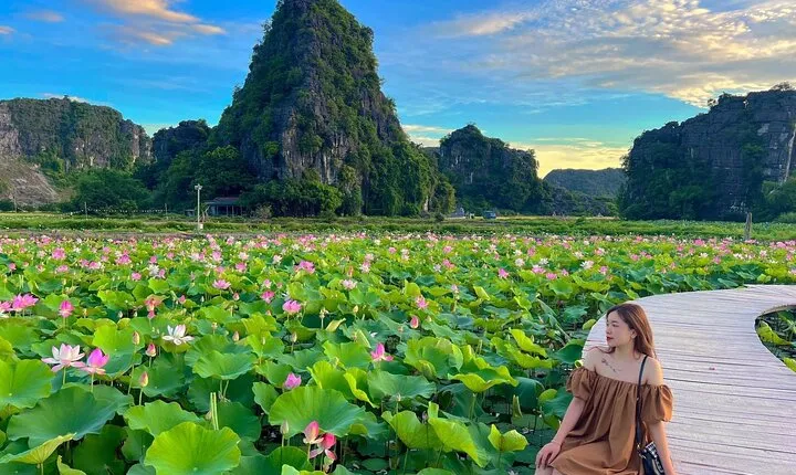 Full Day Tour Tam Coc Boat in Mua Cave and Hoa Lu Ancient Capital