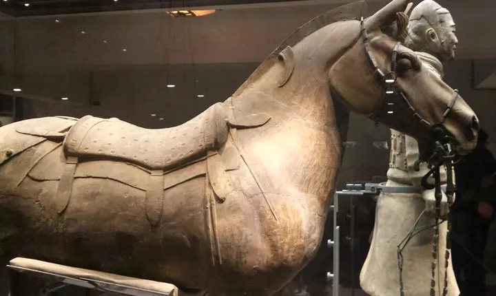 Half-Day Private Tour of Xi'an Terracotta Warriors and Horses Museum