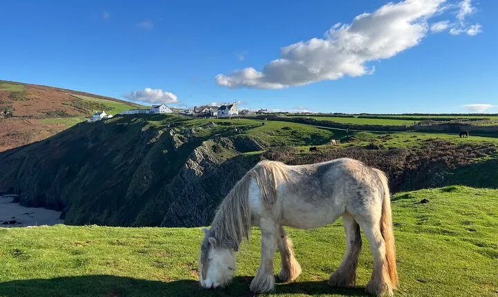 Private Day Tour of Gower's Cliffs & Beaches from Cardiff/Swansea
