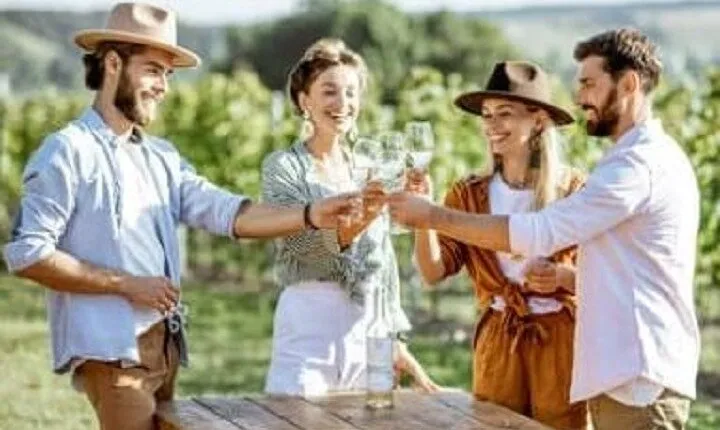 Mount Tamborine Deluxe Wine Tasting with Two Course Lunch