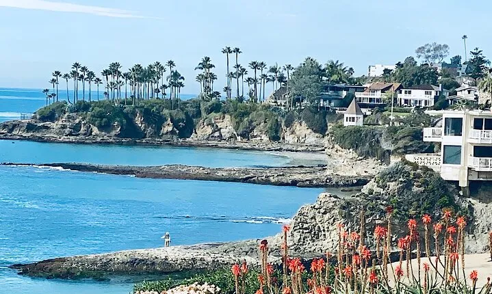 Los Angeles Transportation, Tour, and Hotel Package