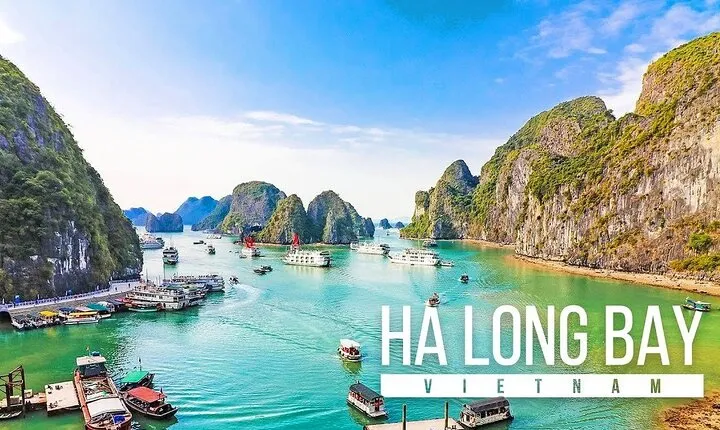 Halong Bay Standard Day Tour with Expressway Transfer from Hanoi