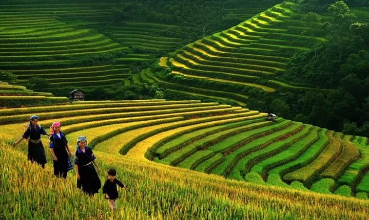 THE BEST SAPA TOURS 3 DAYS 2 NIGHTS (01 Nite in 3* hotel , 01 nite in homestay)