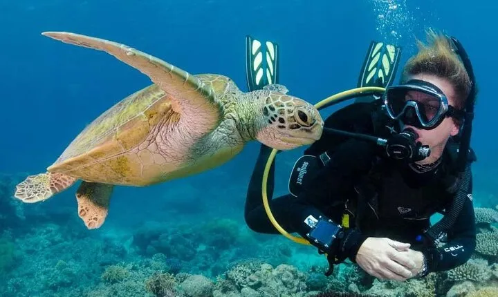 Intro and Professional Scuba Diving Cruise with Lunch in Hurghada