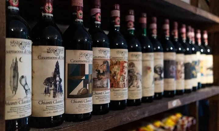 Private full day Tour to Chianti with wineries visit