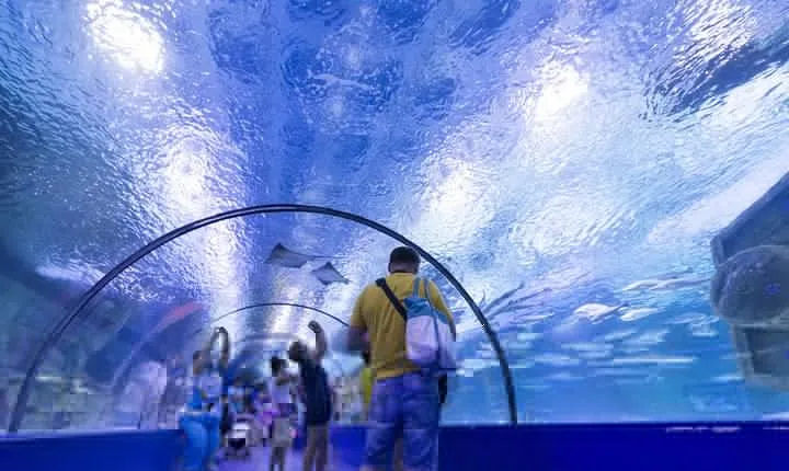 Aquarium & Face2Face Wax Museum from Kemer