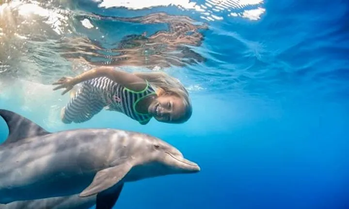 Dolphin House Sea Trip with Water Sport and Lunch