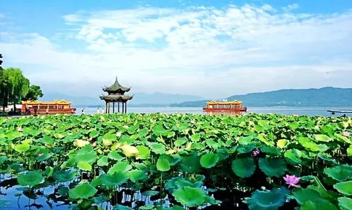 Half-Day Hangzhou Private Flexible Tour with West Lake Night Show VIP Ticket