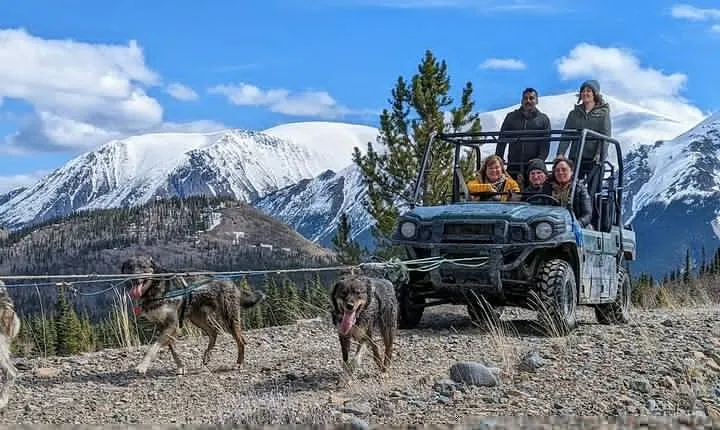 Summer Sled Dog Remote Yukon Camp & Summit Tour