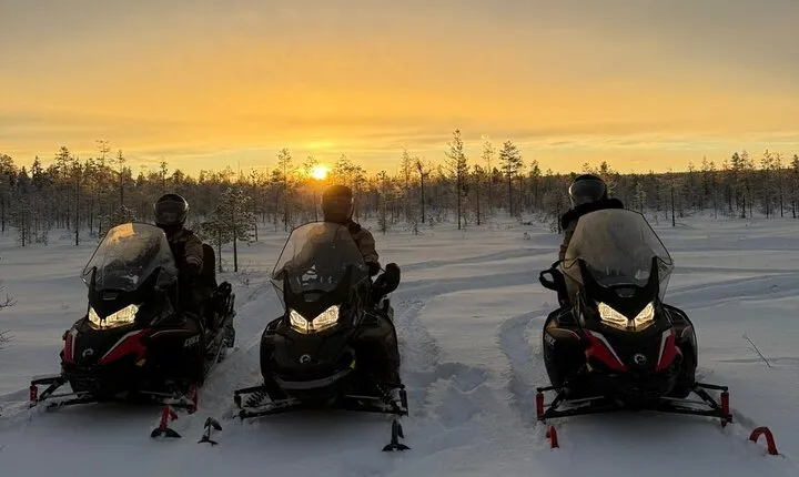Husky Ride, Reindeer Ride and Snowmobiling Day Experience