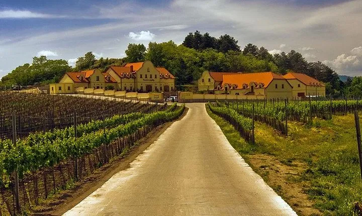 2day private tour of wine region in Czech Republic and Bratislava from Vienna