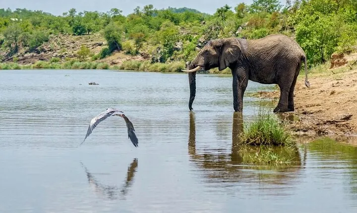 5 Day Selous and Mikumi Safari Adventure Tour 