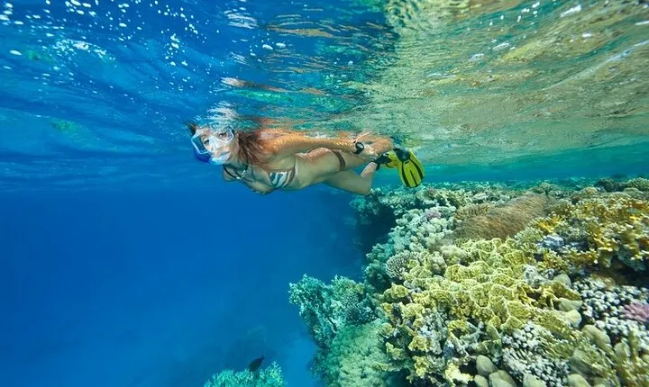 Private Full Day Snorkeling Activity in Marsa Alam