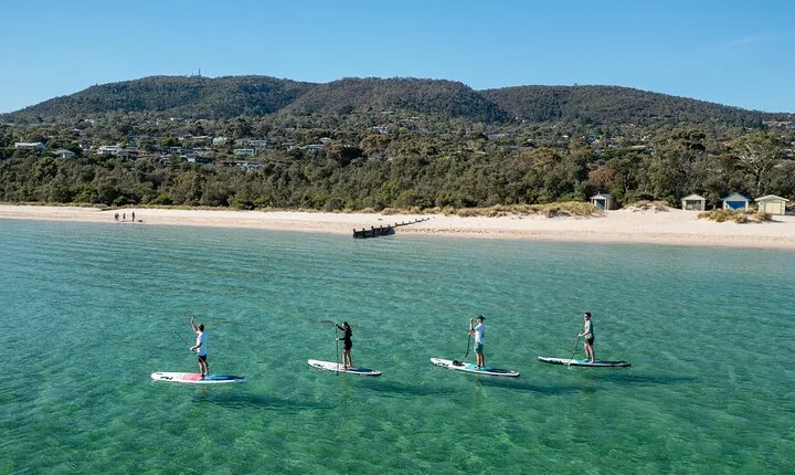 Ultimate Peninsula Adventure: Stand Up Paddle, Hot Springs, Hike, Lunch & Winery
