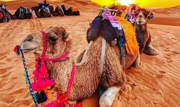 3 Days Group Tour from Marrakech to Merzouga Desert