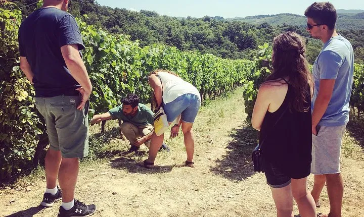 Private Chianti wine tour