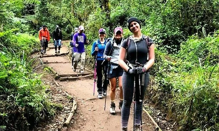 Mt Kilimanjaro Day Hike