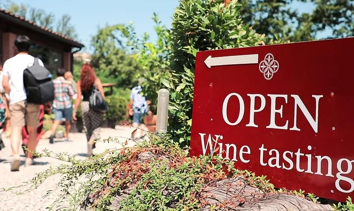 Chianti Wine Tour: Two Wine Tastings, Vineyards and Cellar Visit