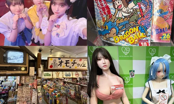 Private Akihabara Retro Tokyo Anime Game Maid Cafe Tour w/ pickup