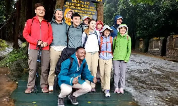 Private Full Day Hiking Experience to Marangu Route