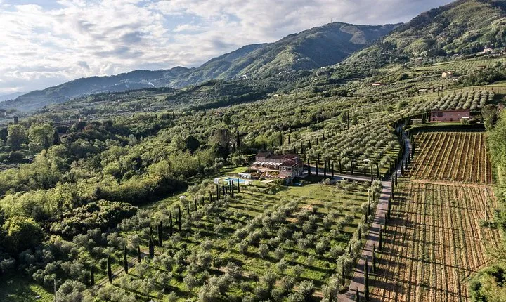 Wine and olive oil tasting & farm tour