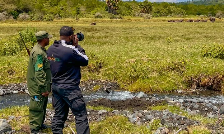 It's a Walking Safari