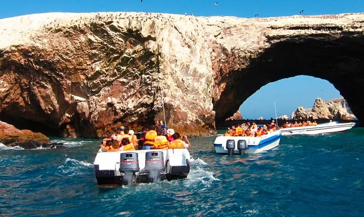 Ballestas Islands, Ica Vineyard & Huacachina