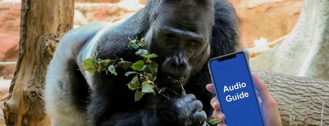 Self-guided online audio tour of Prague Zoo
