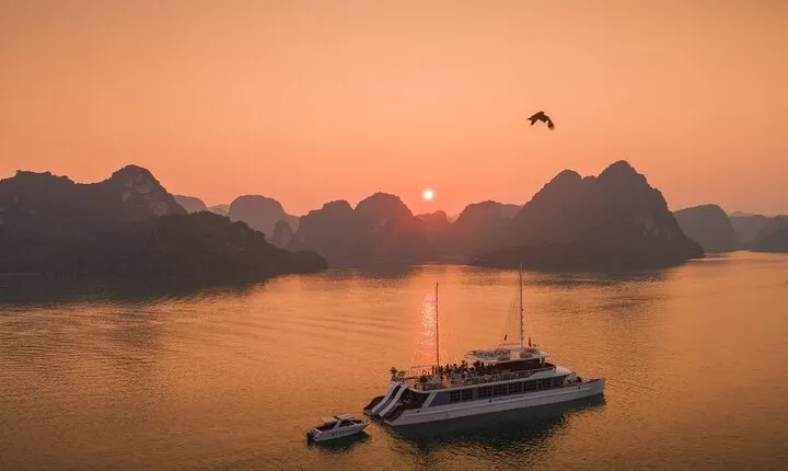 Catamaran Luxury Day Cruise from Cat Ba Island ( Afternoon Tour )