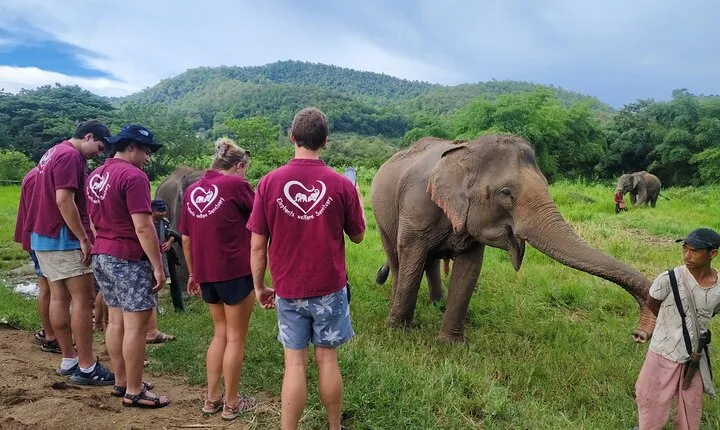 Elephants. Sticky Waterfalls, Local market & Amazing temple