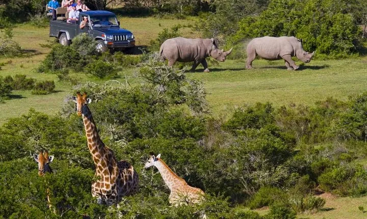 2 Day Small Group Garden Route Big 5 Safari Tour from Cape Town