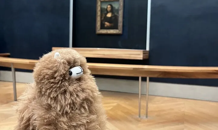 Louvre: All the stars of museum - Private guided 3h tour & entry