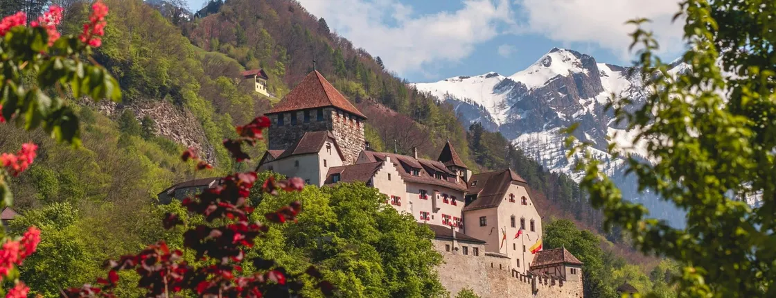 1-hour small group tour of Vaduz with a local