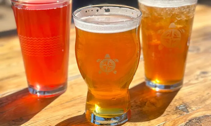 Hike Colorado Trails with Local Guide and Beer Tasting