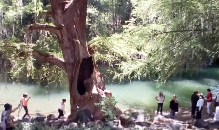 Tour Visiting the Malpais