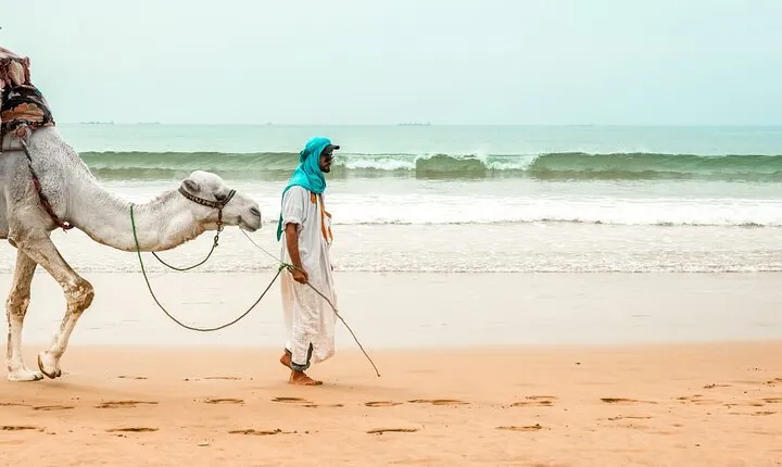  Sunset Camel Ride in Agadir Beach with BBQ