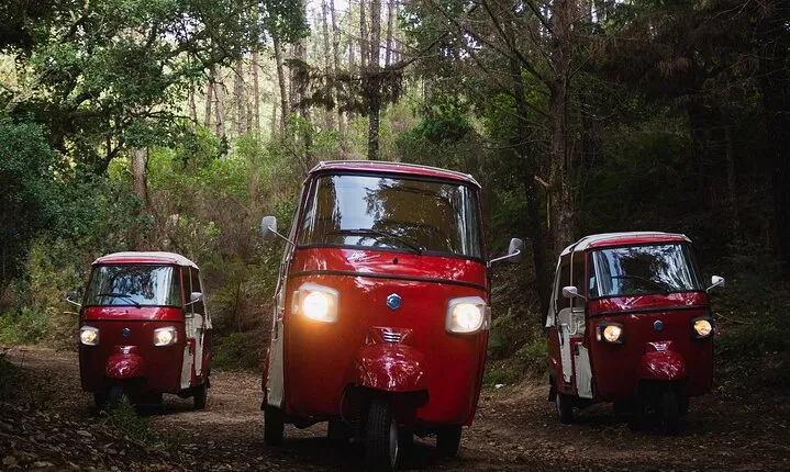 2 Hours Guided Tuk Tuk Tour in Sintra