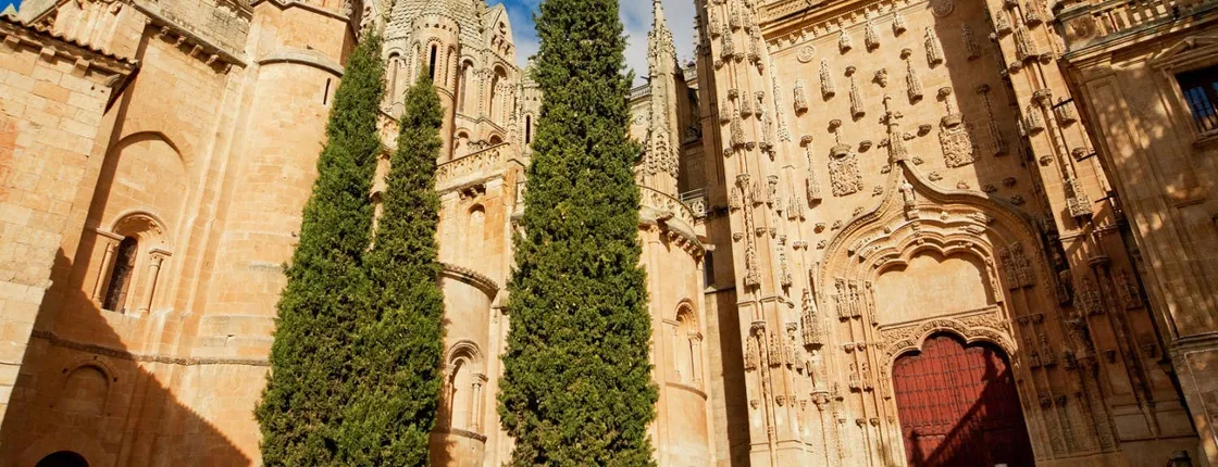 Full-day tour to Avila and Salamanca from Madrid