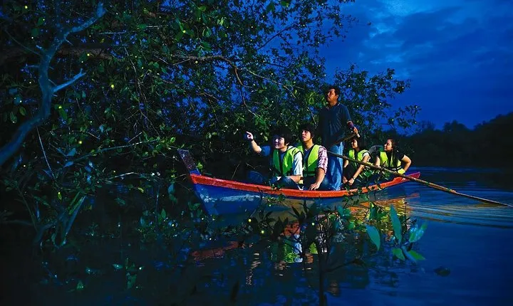 Kuala Selangor Fireflies & Nature Escape – From Kuala Lumpur