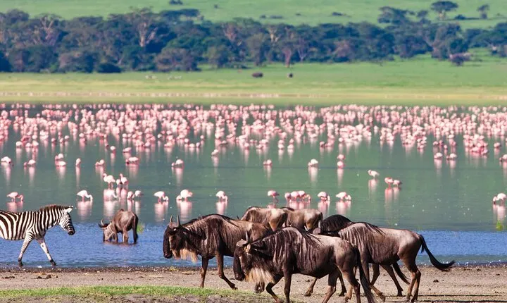 4 days Safari with Waterfalls and Hot Spring