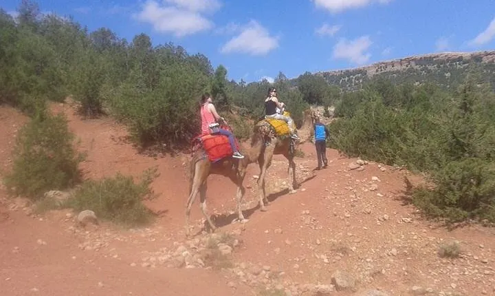 Private Day Trip from Marrakech: Camel Ride and Hike in the High Atlas Mountains